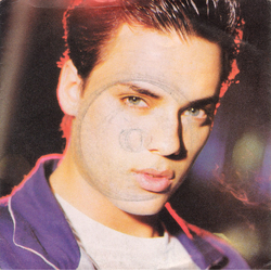 Nick Kamen Each Time You Break My Heart Vinyl 7" USED