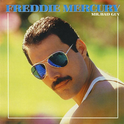 Freddie Mercury Mr. Bad Guy Vinyl LP USED