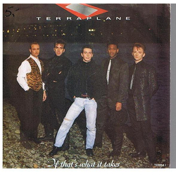 Terraplane If That's What It Takes Vinyl 7" USED
