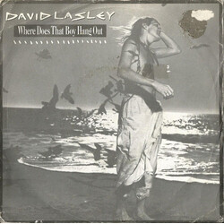 David Lasley Where Does That Boy Hang Out Vinyl 7" USED