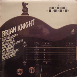 Brian Knight A Dark Horse Vinyl LP USED