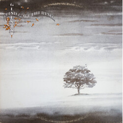 Genesis Wind & Wuthering Vinyl LP USED