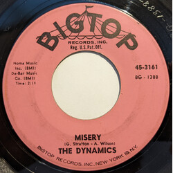 The Dynamics Misery / I'm The Man USED VINYL 7INCH 45 RPM SINGLE