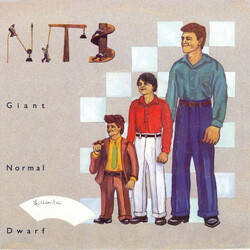 The Nits Giant Normal Dwarf USED VINYL 7INCH 45 RPM SINGLE
