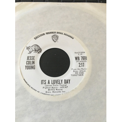 Jesse Colin Young It's A Lovely Day / Sweet Little Child Vinyl 7" USED