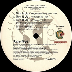 Raja-Neé Turn It Up VINYL 12" USED