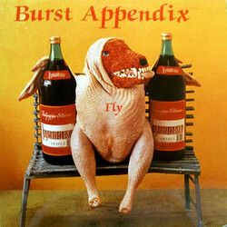Burst Appendix Fly USED VINYL MINI-ALBUM 12INCH