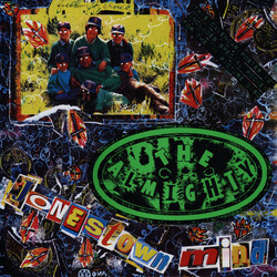 The Almighty Jonestown Mind USED VINYL 12"