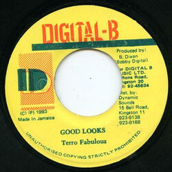 Terror Fabulous Good Looks USED VINYL 7INCH 45 RPM