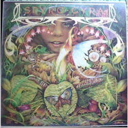 Spyro Gyra Morning Dance Vinyl LP USED