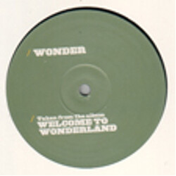 DJ Wonder Can't Stand It USED VINYL 12INCH