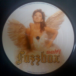 We've Got A Fuzzbox And We're Gonna Use It Self! USED VINYL 7INCH PICTURE DISC