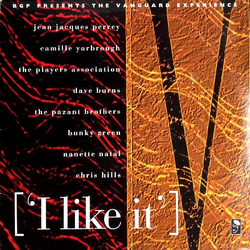 Various BGP Presents The Vanguard Experience [I Like It] Vinyl LP USED