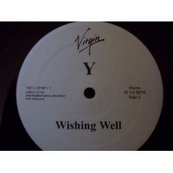 Yanni (2) Wishing Well Vinyl 12" USED