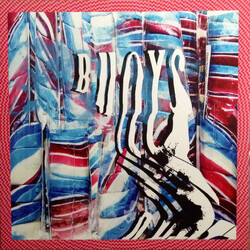 Panda Bear Buoys Vinyl LP USED