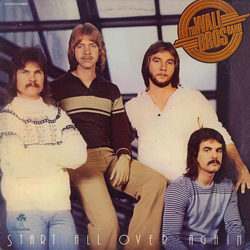 The Wall Brothers Start All Over Again Vinyl LP USED