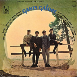 The Gants Gants Galore Vinyl LP USED