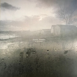 Joshua Trinidad In November Vinyl LP USED