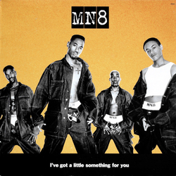 MN8 I've Got A Little Something For You Vinyl 12" USED