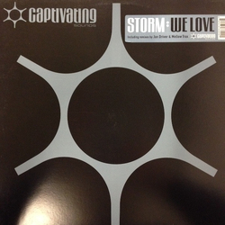 Storm We Love Vinyl 12" USED
