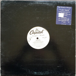 The Grapes Of Wrath I Am Here USED VINYL 12INCH PROMO