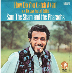 Sam The Sham & The Pharaohs How Do You Catch A Girl Vinyl 7" USED