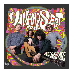 Viv And The Sect This Will Pass Vinyl LP USED