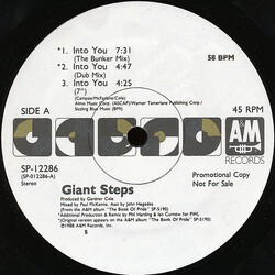 Giant Steps (2) Into You USED VINYL 12INCH SINGLE PROMO 45 RPM