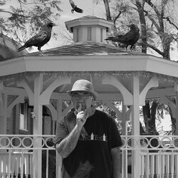 Eddy Detroit Black Crow Gazebo Vinyl LP USED