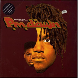 P.M. Dawn Reality Used To Be A Friend Of Mine USED VINYL 12INCH 45 RPM