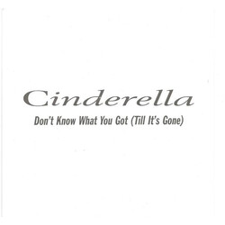 Cinderella (3) Don't Know What You Got (Till It's Gone) USED VINYL 7INCH SINGLE 45 RPM PROMO
