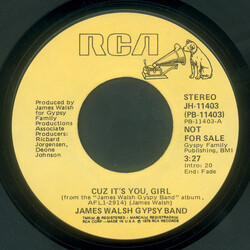 James Walsh Gypsy Band Cuz It's You, Girl USED VINYL 7INCH 45 RPM PROMO STEREO MONO