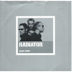 Radiator (2) Black Shine Vinyl 7" USED