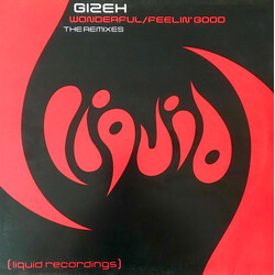 Gizeh Wonderful / Feelin' Good (The Remixes) USED VINYL 12INCH