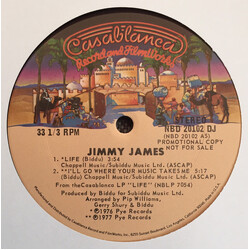 Jimmy James (2) Life / I'll Go Where Your Music Takes Me USED VINYL 12INCH 33 S RPM SINGLE SIDED PROMO