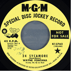 Wayne Fontana 24 Sycamore Vinyl 7" USED