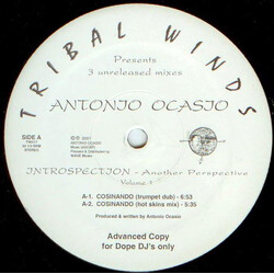 Antonio Ocasio Introspection - Another Perspective Volume 1 USED VINYL 12INCH 33 S RPM ADVANCE