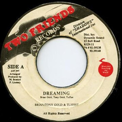 Brian & Tony Gold / Tuffest Dreaming USED VINYL 7INCH 45 RPM