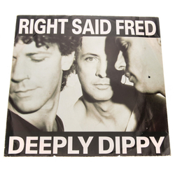 Right Said Fred Deeply Dippy Vinyl 12" USED