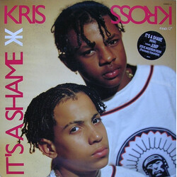 Kris Kross It's A Shame VINYL 12" USED