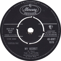 The Platters My Secret / What Does It Matter Vinyl 7" USED