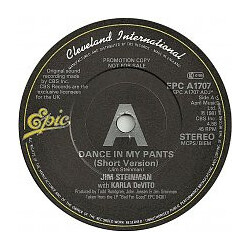 Jim Steinman / Karla Devito Dance In My Pants USED VINYL 7INCH 45 RPM SINGLE PROMO