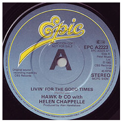 Hawk & Co. / Helen Chappelle Livin' For The Good Times / Sweet Talker USED VINYL 7INCH PROMO