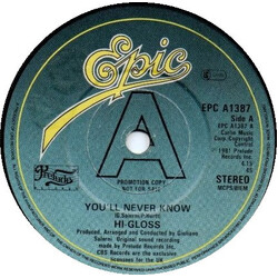 Hi-Gloss You'll Never Know USED VINYL 7INCH 45 RPM PROMO