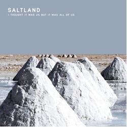 Saltland I Thought It Was Us But It Was All Of Us Vinyl LP USED