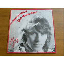 Jed Ford I Wonder What She's Doing Now Vinyl LP USED