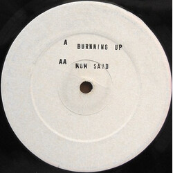2 White Boys Burning Up / Mum Said USED VINYL 12INCH WHITE LABEL
