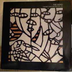 Thrashing Doves I Wouldn't Know You From The Rest Vinyl 12" USED