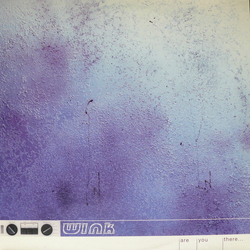 Josh Wink Are You There... Vinyl 12" USED