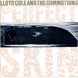 Lloyd Cole & The Commotions Perfect Skin VINYL 12" USED